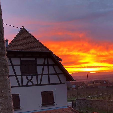 Beck Domaine Du Rempart Dambach-la-Ville Exterior foto